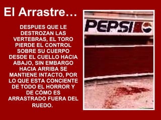 El Arrastre…   DESPUES QUE LE DESTROZAN LAS VERTEBRAS, EL TORO PIERDE EL CONTROL SOBRE SU CUERPO DESDE EL CUELLO HACIA ABAJO, SIN EMBARGO HACIA ARRIBA SE MANTIENE INTACTO, POR LO QUE ESTA CONCIENTE DE TODO EL HORROR Y DE CÓMO ES ARRASTRADO FUERA DEL RUEDO.   