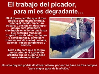 El trabajo del picador,  para mi es degradante…  Si el torero percibe que el toro embiste con mucha energía, ordena al picador hacer su trabajo: Consiste en desangrar al toro para debilitarlo, clavándole en el lomo una lanza que destroza músculos (trapecio, romboideo, espinoso y semiespinoso, serratos y transversos de cuello) Lesiona, además, vasos sanguíneos y nervios. Todo esto para que el torero pueda brindar la expresión artística que se supone debe tener este espectáculo.  Un solo puyazo podría destrozar al toro, por eso se hace en tres tiempos "para mayor goce de la afición."  