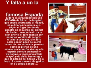 Y falta a un la
famosa EspadaEl toro es atravesado con una
ESPADA de 80 cm. de longitud,
que puede destrozarle el hígado,
los pulmones, la pleura, etc.,
según el lugar por donde
penetre en el cuerpo del animal
de hecho, cuando destroza la
gran arteria, el toro agoniza con
enormes vómitos de sangre.
A la hora de matar, si el toro
corre con un poco de suerte
muere de una estocada, pero no
como se piensa de una
estocada al corazón si no que la
espada penetra pulmones y
diafragma, a veces una arteria
mayor, y de ahí la hemorragia
que se aprecia del hocico y de la
boca. A veces mueren ahogados
en su propia sangre….
 