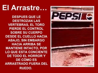 El Arrastre…
DESPUES QUE LE
DESTROZAN LAS
VERTEBRAS, EL TORO
PIERDE EL CONTROL
SOBRE SU CUERPO
DESDE EL CUELLO HACIA
ABAJO, SIN EMBARGO
HACIA ARRIBA SE
MANTIENE INTACTO, POR
LO QUE ESTA CONCIENTE
DE TODO EL HORROR Y
DE CÓMO ES
ARRASTRADO FUERA DEL
RUEDO.
 
