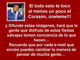 y Difunde estas imágenes, hará que la
gente que disfruta de estas fiestas
salvajes tomen conciencia de lo que
hacen…
Recuerda que por cada e-mail que
envíes puedes cambiar la manera de
pensar de mucha gente…
Si todo esto te toco
al menos un poco el
Corazón, úneteme!!!
 
