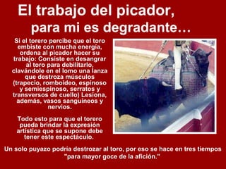 El trabajo del picador,
para mi es degradante…
Si el torero percibe que el toro
embiste con mucha energía,
ordena al picador hacer su
trabajo: Consiste en desangrar
al toro para debilitarlo,
clavándole en el lomo una lanza
que destroza músculos
(trapecio, romboideo, espinoso
y semiespinoso, serratos y
transversos de cuello) Lesiona,
además, vasos sanguíneos y
nervios.
Todo esto para que el torero
pueda brindar la expresión
artística que se supone debe
tener este espectáculo.
Un solo puyazo podría destrozar al toro, por eso se hace en tres tiempos
"para mayor goce de la afición."
 