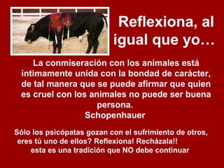 Reflexiona, al
igual que yo…
La conmiseración con los animales está
íntimamente unida con la bondad de carácter,
de tal manera que se puede afirmar que quien
es cruel con los animales no puede ser buena
persona.
Schopenhauer
Sólo los psicópatas gozan con el sufrimiento de otros,
eres tú uno de ellos? Reflexiona! Recházala!!
esta es una tradición que NO debe continuar
 