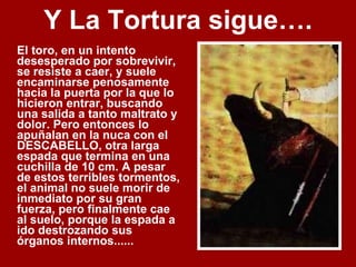 Y La Tortura sigue…. El toro, en un intento desesperado por sobrevivir, se resiste a caer, y suele encaminarse penosamente hacia la puerta por la que lo hicieron entrar, buscando una salida a tanto maltrato y dolor. Pero entonces lo apuñalan en la nuca con el DESCABELLO, otra larga espada que termina en una cuchilla de 10 cm. A pesar de estos terribles tormentos, el animal no suele morir de inmediato por su gran fuerza, pero finalmente cae al suelo, porque la espada a ido destrozando sus órganos internos...... 