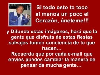 y Difunde estas imágenes, hará que la gente que disfruta de estas fiestas salvajes tomen conciencia de lo que hacen… Recuerda que por cada e-mail que envíes puedes cambiar la manera de pensar de mucha gente…   Si todo esto te toco al menos un poco el Corazón, úneteme!!! 