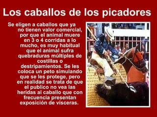 Los caballos de los picadores  Se eligen a caballos que ya  no tienen valor comercial, por que el animal muere en 3 o 4 corridas a lo mucho, es muy habitual que el animal sufra quebraduras múltiples de costillas o destripamientos. Se les coloca un peto simulando que se les protege, pero en realidad se trata de que el publico no vea las heridas al caballo que con frecuencia presentan exposición de vísceras.  