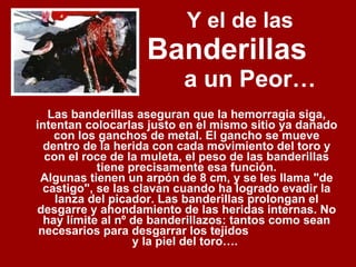 Y el de las  Banderillas   a un Peor… Las banderillas aseguran que la hemorragia siga, intentan colocarlas justo en el mismo sitio ya dañado con los ganchos de metal. El gancho se mueve dentro de la herida con cada movimiento del toro y con el roce de la muleta, el peso de las banderillas tiene precisamente esa función. Algunas tienen un arpón de 8 cm, y se les llama "de castigo", se las clavan cuando ha logrado evadir la lanza del picador. Las banderillas prolongan el desgarre y ahondamiento de las heridas internas. No hay límite al nº de banderillazos: tantos como sean necesarios para desgarrar los tejidos  y la piel del toro….  