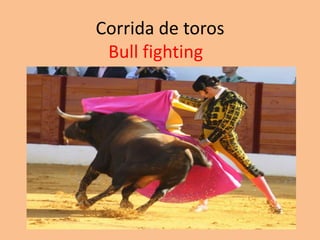 Corrida de toros
 Bull fighting
 