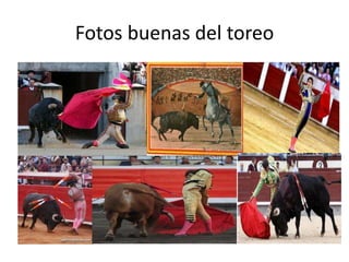 Fotos buenas del toreo
 