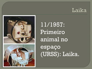 11/1957:
Primeiro
animal no
espaço
(URSS): Laika.