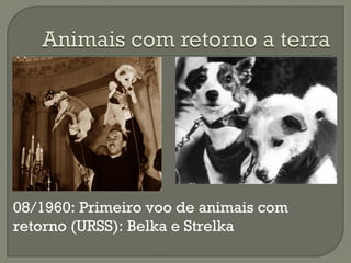 08/1960: Primeiro voo de animais com
retorno (URSS): Belka e Strelka