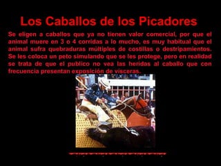 Los Caballos de los Picadores   Se eligen a caballos que ya no tienen valor comercial, por que el animal muere en 3 o 4 corridas a lo mucho, es muy habitual que el animal sufra quebraduras múltiples de costillas o destripamientos. Se les coloca un peto simulando que se les protege, pero en realidad se trata de que el publico no vea las heridas al caballo que con frecuencia presentan exposición de vísceras.   
