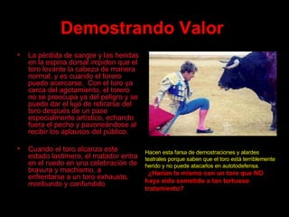 Demostrando Valor   La pérdida de sangre y las heridas en la espina dorsal impiden que el toro levante la cabeza de manera normal, y es cuando el torero puede acercarse .   Con el toro ya cerca del agotamiento, el torero no se preocupa ya del peligro y se puede dar el lujo de retirarse del toro después de un pase especialmente artístico, echando fuera el pecho y pavoneándose al recibir los aplausos del público . Cuando el toro alcanza este estado lastimero, el matador entra en el ruedo en una celebración de bravura y machismo, a enfrentarse a un toro exhausto, moribundo y confundido . Hacen esta farsa de demostraciones y alardes teatrales porque saben que el toro está terriblemente herido y no puede atacarlos en autotodefensa.    ¿Harían lo mismo con un toro que NO haya sido sometido a tan tortuoso tratamiento? 