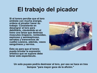 El trabajo del picador   Si el torero percibe que el toro embiste con mucha energía, ordena al picador hacer su trabajo: Consistente en desangrar al toro para debilitarlo, clavándole en el lomo una lanza que destroza músculos (trapecio, romboideo, espinoso y semiespinoso, serratos y transversos de cuello) Lesiona, además, vasos sanguíneos y nervios. Esto es para que el torero pueda brindar la expresión artística que se supone debe tener este espectáculo.  Un solo puyazo podría destrozar al toro, por eso se hace en tres tiempos "para mayor goce de la afición."  