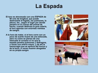 La Espada El toro es atravesado con una ESPADA de 80 cms de longitud, que puede destrozarle el hígado, los pulmones, la pleura, etc., según el lugar por donde penetre en el cuerpo del animal de hecho, cuando destroza la gran arteria, el toro agoniza con enormes vómitos de sangre.  A la hora de matar, si el toro corre con un poco de suerte muere de una estocada, pero no como se piensa de una estocada al corazón si no que la espada penetra pulmones y diafragma, a veces una arteria mayor, y de ahí la hemorragia que se aprecia del hocico y de la boca. A veces mueren ahogados en su propia sangre 