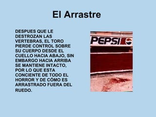 El Arrastre   DESPUES QUE LE DESTROZAN LAS VERTEBRAS, EL TORO PIERDE CONTROL SOBRE SU CUERPO DESDE EL CUELLO HACIA ABAJO, SIN EMBARGO HACIA ARRIBA SE MANTIENE INTACTO, POR LO QUE ESTA CONCIENTE DE TODO EL HORROR Y DE CÓMO ES ARRASTRADO FUERA DEL RUEDO.   