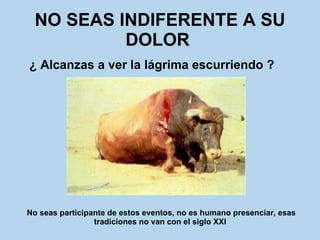 NO SEAS INDIFERENTE A SU DOLOR   ¿ Alcanzas a ver la lágrima escurriendo ?   No seas participante de estos eventos, no es humano presenciar, esas tradiciones no van con el siglo XXI   