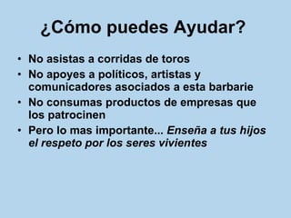 ¿Cómo puedes Ayudar?   No asistas a corridas de toros No apoyes a políticos, artistas y comunicadores asociados a esta barbarie No consumas productos de empresas que los patrocinen  Pero lo mas importante...  Enseña a tus hijos el respeto por los seres vivientes   