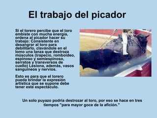 El trabajo del picador   Si el torero percibe que el toro embiste con mucha energía, ordena al picador hacer su trabajo: Consistente en desangrar al toro para debilitarlo, clavándole en el lomo una lanza que destroza músculos (trapecio, romboideo, espinoso y semiespinoso, serratos y transversos de cuello) Lesiona, además, vasos sanguíneos y nervios. Esto es para que el torero pueda brindar la expresión artística que se supone debe tener este espectáculo.  Un solo puyazo podría destrozar al toro, por eso se hace en tres tiempos "para mayor goce de la afición."  