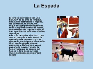 La Espada El toro es atravesado con una ESPADA de 80 cms de longitud, que puede destrozarle el hígado, los pulmones, la pleura, etc., según el lugar por donde penetre en el cuerpo del animal de hecho, cuando destroza la gran arteria, el toro agoniza con enormes vómitos de sangre.  A la hora de matar, si el toro corre con un poco de suerte muere de una estocada, pero no como se piensa de una estocada al corazón si no que la espada penetra pulmones y diafragma, a veces una arteria mayor, y de ahí la hemorragia que se aprecia del hocico y de la boca. A veces mueren ahogados en su propia sangre 
