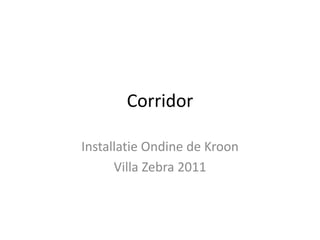 Corridor
Installatie Ondine de Kroon
Villa Zebra 2011
 