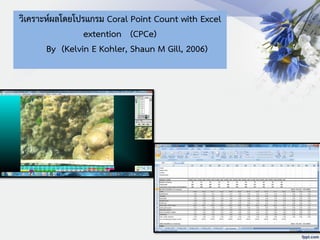 วิเคราะห์ผลโดยโปรแกรม Coral Point Count with Excel
extention (CPCe)
By (Kelvin E Kohler, Shaun M Gill, 2006)
 
