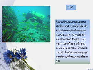 ศึกษาชนิดและความชุกชุมของ
ปลาในแนวปะการังด้วยวิธีทาสา
มะโนประชากรปลาด้วยสายตา
(Fishes visual census) ซึ่ง
ดัดแปลงมาจาก English และ
คณะ (1994) โดยการทา Belt
transect ยาว 30 ม. จานวน 3
แนว บันทึกชนิดและความชุกชุม
ของปลาสองข้างแนวเทป ด้านละ
5 ม.
ปลา
 