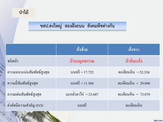 ฝั่งซ้าย ฝั่งขวา
ชนิดป่า ป่าเบญจพรรณ ป่าดิบแล้ง
ความหนาแน่นสัมพัทธ์สูงสุด นนทรี = 17.722 ตะเคียนหิน = 52.336
ความถี่สัมพัทธ์สูงสุด นนทรี = 11.504 ตะเคียนหิน = 29.090
ความเด่นสัมพัทธ์สูงสุด มะกล่าตาไก่ = 23.047 ตะเคียนหิน = 73.079
ค่าดัชนีความสาคัญ (IVI) นนทรี ตะเคียนหิน
ป่าไม้
ขสป.ดงใหญ่ สองฝั่งถนน สังคมพืชต่างกัน
 
