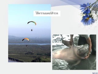 ใช้พารามอเตอร์สารวจ
 