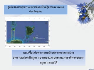 ศูนย์นวัตกรรมอุทยานแห่งชาติและพื้นที่คุ้มครองทางทะเล
จังหวัดชุมพร
แนวเชื่อมต่อทางระบบนิเวศทางทะเลระหว่าง
อุทยานแห่งชาติหมู่เกาะอ่างทองและอุทยานแห่งชาติหาดขนอม-
หมู่เกาะทะเลใต้
 
