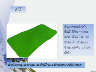 เส้นชั้นความสูงและตาแหน่งของต้นไม้ในแปลงตัวอย่างขนาดเล็กป่าสนเขา
ป่าไม้
จาแนกระบบนิเวศใน
พื้นที่ ได้เป็น 5 ระบบ
นิเวศ ได้แก่ ป่าดิบเขา
ป่าดิบแล้ง ป่าสนเขา
ป่าผสมผลัดใบ และป่า
เต็งรัง
 