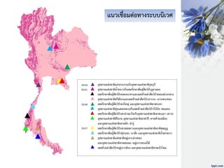 แนวเชื่อมต่อทางระบบนิเวศ
 