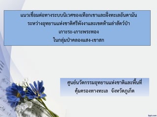 แนวเชื่อมต่อทางระบบนิเวศของเทือกเขาและฝั่งทะเลอันดามัน
ระหว่างอุทยานแห่งชาติศรีพังงาและเขตห้ามล่าสัตว์ป่า
เกาะระ-เกาะพระทอง
ในกลุ่มป่าคลองแสง-เขาสก
ศูนย์นวัตกรรมอุทยานแห่งชาติและพื้นที่
คุ้มครองทางทะเล จังหวัดภูเก็ต
 