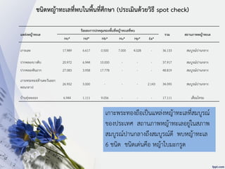 เกาะพระทองถือเป็นแหล่งหญ้าทะเลที่สมบูรณ์
ของประเทศ สถานภาพหญ้าทะเลอยู่ในสภาพ
สมบูรณ์ปานกลางถึงสมบูรณ์ดี พบหญ้าทะเล
6 ชนิด ชนิดเด่นคือ หญ้าใบมะกรูด
แหล่งหญ้าทะเล
ร้อยละการปกคลุมของพื้นที่หญ้าทะเลที่พบ
รวม สถานภาพหญ้าทะเล
Ho* Hd* Hb* Hu* Hp* Ea*
เกาะเละ 17.989 6.617 0.500 7.000 4.028 - 36.133 สมบูรณ์ปานกลาง
ปากคลองบางติบ 20.972 6.944 10.000 - - - 37.917 สมบูรณ์ปานกลาง
ปากคลองหินถาก 27.083 3.958 17.778 - - - 48.819 สมบูรณ์ปานกลาง
เกาะพระทอง(ด้านตะวันออก
ตอนกลาง)
26.952 5.000 - - - 2.143 34.095 สมบูรณ์ปานกลาง
บ้านทุ่งละออง 6.944 1.111 9.056 - - - 17.111 เสื่อมโทรม
ชนิดหญ้าทะเลที่พบในพื้นที่ศึกษา (ประเมินด้วยวิธี spot check)
 