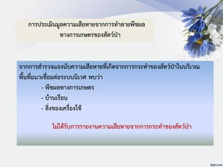 จากการสารวจแจงนับความเสียหายที่เกิดจากการกระทาของสัตว์ป่าในบริเวณ
พื้นที่แนวเชื่อมต่อระบบนิเวศ พบว่า
- พืชผลทางการเกษตร
- บ้านเรือน
- สิ่งของเครื่องใช้
การประเมินมูลความเสียหายจากการทาลายพืชผล
ทางการเกษตรของสัตว์ป่า
ไม่ได้รับการรายงานความเสียหายจากการกระทาของสัตว์ป่า
 