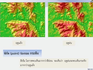 พิกัด (point) ร่องรอย กระทิง
ฤดูแล้ง ฤดูฝน
สีเข้ม โอกาสพบเห็นมากกว่าสีอ่อน จะเห็นว่า ฤดูฝนจะพบเห็นกระทิง
มากกว่าฤดูแล้ง
 
