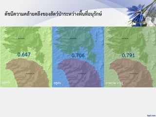 ฤดูแล้ง ฤดูฝน ภาพรวม 2 ฤดู
ดัชนีความคล้ายคลึงของสัตว์ป่าระหว่างพื้นที่อนุรักษ์
 