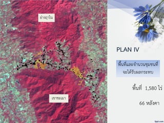 PLAN IV
พื้นที่ 1,580 ไร่
66 หลังคา
อ่างฤาไน
เขาชะเมา
พื้นที่และจานวนชุมชนที่
จะได้รับผลกระทบ
 