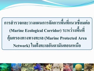 การสารวจและวางแผนการจัดการพื้นที่แนวเชื่อมต่อ
(Marine Ecological Corridor) ระหว่างพื้นที่
คุ้มครองทางทางทะเล (Marine Protected Area
Network) ในฝั่งทะเลอันดามันตอนเหนือ
 