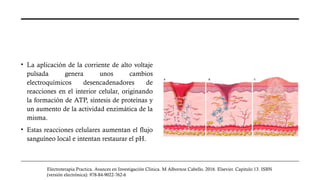 Corriente de Alto Voltaje Pulsada electroterapia.pptx