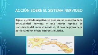 ACCIÓN SOBRE EL SISTEMA NERVIOSO
Bajo el electrodo negativo se produce un aumento de la
excitabilidad nerviosa y una mayor rapidez de
transmisión del impulso nervioso, el polo negativo tiene
por lo tanto un efecto neuroestimulante.
 