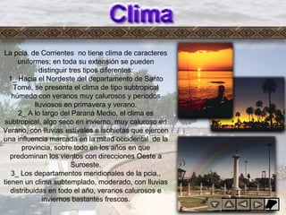 Clima
La pcia. de Corrientes no tiene clima de caracteres
uniformes; en toda su extensión se pueden
distinguir tres tipos diferentes:
1_ Hacia el Nordeste del departamento de Santo
Tomé, se presenta el clima de tipo subtropical
húmedo con veranos muy calurosos y periodos
lluviosos en primavera y verano.
2_ A lo largo del Paraná Medio, el clima es
subtropical, algo seco en invierno, muy caluroso en
Verano, con lluvias estivales e isohietas que ejercen
una influencia marcada en la mitad occidental de la
provincia, sobre todo en los años en que
predominan los vientos con direcciones Oeste a
Suroeste.
3_ Los departamentos meridionales de la pcia.,
tienen un clima subtemplado, moderado, con lluvias
distribuidas en todo el año, veranos calurosos e
inviernos bastantes frescos.
 