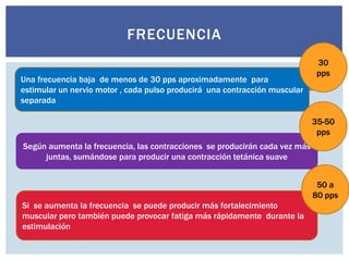 Frecuencia
 Determina el tiempo de respuesta o de contracción muscular
que producirá la estimulación eléctrica.
 .
FRECUENCIA
Una frecuencia baja de menos de 30 pps aproximadamente para
estimular un nervio motor , cada pulso producirá una contracción muscular
separada
Según aumenta la frecuencia, las contracciones se producirán cada vez más
juntas, sumándose para producir una contracción tetánica suave
Si se aumenta la frecuencia se puede producir más fortalecimiento
muscular pero también puede provocar fatiga más rápidamente durante la
estimulación
30
pps
35-50
pps
50 a
80 pps
 