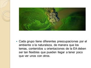    Cada grupo tiene diferentes preocupaciones por el
    ambiente o la naturaleza, de manera que los
    temas, contenidos u orientaciones de la EA deben
    ser tan flexibles que pueden llegar a tener poco
    que ver unos con otros.
 