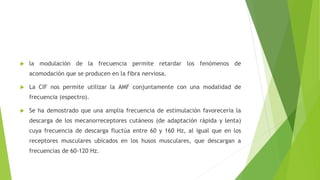  la modulación de la frecuencia permite retardar los fenómenos de
acomodación que se producen en la fibra nerviosa.
 La CIF nos permite utilizar la AMF conjuntamente con una modalidad de
frecuencia (espectro).
 Se ha demostrado que una amplia frecuencia de estimulación favorecería la
descarga de los mecanorreceptores cutáneos (de adaptación rápida y lenta)
cuya frecuencia de descarga fluctúa entre 60 y 160 Hz, al igual que en los
receptores musculares ubicados en los husos musculares, que descargan a
frecuencias de 60-120 Hz.
 