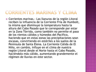    Corrientes marinas.- Las llanuras de la región Litoral
    reciben la influencia de la Corriente Fría de Humbolt,
    la misma que disminuye la temperatura hasta la
    altura del Cabo Pasado que le corresponde por estar
    en la Zona Tórrida, como también no permite el paso
    de los vientos cálidos y húmedos del Pacífico,
    haciendo que en estas zonas las precipitaciones sean
    escasas, convirtiendo en estériles a los suelos de la
    Península de Santa Elena. La Corriente Cálida de El
    Niño, en cambio, influye en el clima de nuestra
    región Litoral desde el Norte hasta el Cabo Pasado,
    haciéndolo más cálido, aumentando grandemente el
    régimen de lluvias en este sector.
 
