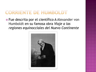  Fuedescrita por el científico A Alexander von
 Humboldt en su famosa obra Viaje a las
 regiones equinocciales del Nuevo Continente
 