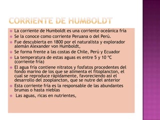    La corriente de Humboldt es una corriente oceánica fría
   Se la conoce como corriente Peruana o del Perú.
   Fue descubierta en 1800 por el naturalista y explorador
    alemán Alexander von Humboldt,
   Se forma frente a las costas de Chile, Perú y Ecuador
   La temperatura de estas aguas es entre 5 y 10 ºC
    (corriente fría)
   El agua fría contiene nitratos y fosfatos procedentes del
    fondo marino de los que se alimenta el fitoplancton, el
    cual se reproduce rápidamente, favoreciendo así el
    desarrollo del zooplancton, que se nutre del anterior
   Esta corriente fría es la responsable de las abundantes
    brumas o hasta nieblas
    Las aguas, ricas en nutrientes,
 