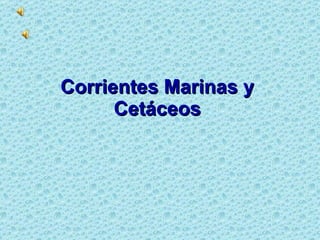 Corrientes Marinas y  Cetáceos   