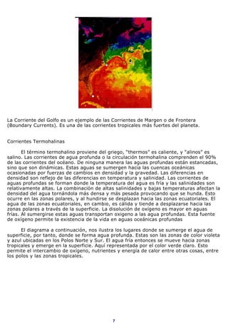 La Corriente del Golfo es un ejemplo de las Corrientes de Margen o de Frontera
(Boundary Currents). Es una de las corrientes tropicales más fuertes del planeta.


Corrientes Termohalinas

       El término termohalino proviene del griego, “thermos” es caliente, y “alinos” es
salino. Las corrientes de agua profunda o la circulación termohalina comprenden el 90%
de las corrientes del océano. De ninguna manera las aguas profundas están estancadas,
sino que son dinámicas. Estas aguas se sumergen hacia las cuencas oceánicas
ocasionadas por fuerzas de cambios en densidad y la gravedad. Las diferencias en
densidad son reflejo de las diferencias en temperatura y salinidad. Las corrientes de
aguas profundas se forman donde la temperatura del agua es fría y las salinidades son
relativamente altas. La combinación de altas salinidades y bajas temperaturas afectan la
densidad del agua tornándola más densa y más pesada provocando que se hunda. Esto
ocurre en las zonas polares, y al hundirse se desplazan hacia las zonas ecuatoriales. El
agua de las zonas ecuatoriales, en cambio, es cálida y tiende a desplazarse hacia las
zonas polares a través de la superficie. La disolución de oxígeno es mayor en aguas
frías. Al sumergirse estas aguas transportan oxigeno a las agua profundas. Esta fuente
de oxígeno permite la existencia de la vida en aguas oceánicas profundas

      El diagrama a continuación, nos ilustra los lugares donde se sumerge el agua de
superficie, por tanto, donde se forma agua profunda. Estas son las zonas de color violeta
y azul ubicadas en los Polos Norte y Sur. El agua fría entonces se mueve hacia zonas
tropicales y emerge en la superficie. Aquí representada por el color verde claro. Esto
permite el intercambio de oxígeno, nutrientes y energía de calor entre otras cosas, entre
los polos y las zonas tropicales.




                                            7
 